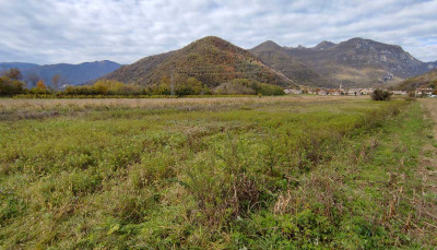 Terreni agricoli: un investimento reale, solido e sempre più strategico nel 2025